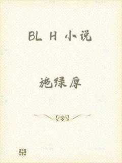 BL H 小说